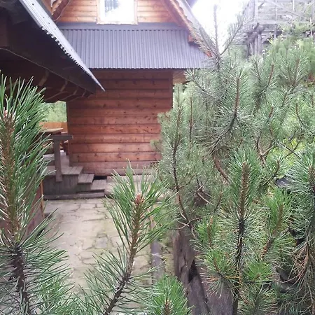 Maly Domek Pod Lasem Zakopane Exterior photo