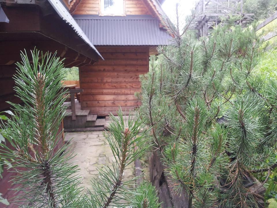 Maly Pod Lasem Chalet Zakopane